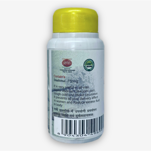 Dashmul Shri Ganga 100 Tabs