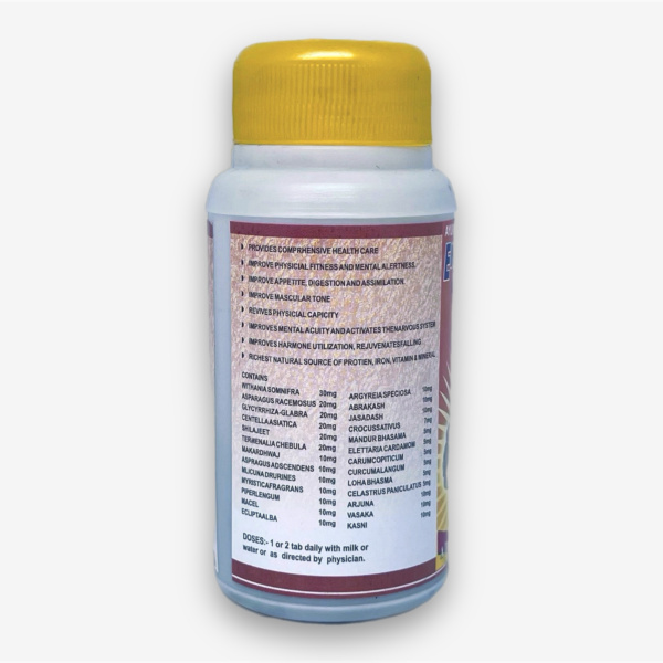 Energy Forte Shri Ganga 100 Tabs