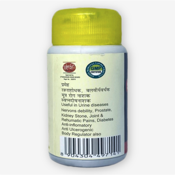 Shilajit Shri Ganga 300 Tabs